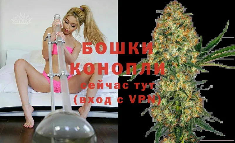 Марихуана OG Kush  Кизляр 